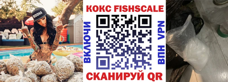 Cocaine FishScale  Судак 
