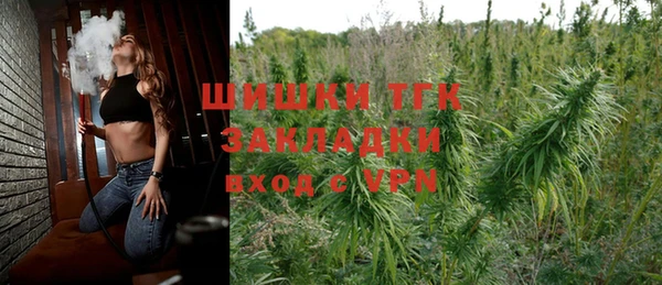 индика Баксан