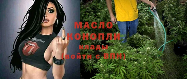 индика Баксан