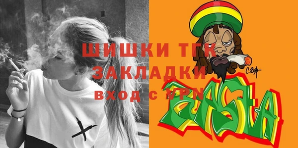 индика Баксан