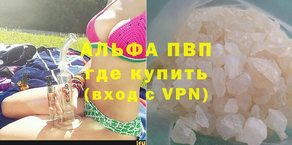 индика Баксан