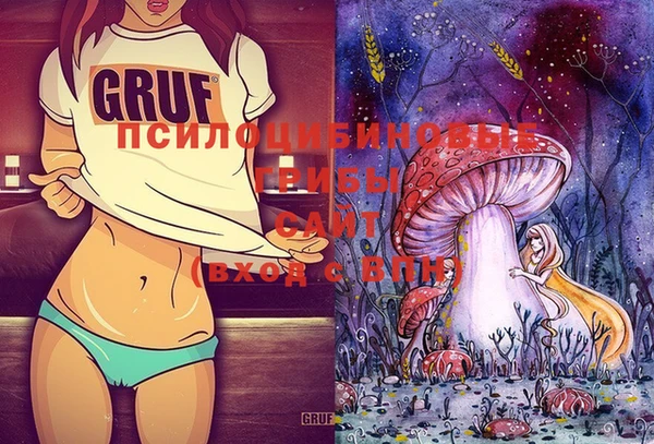 индика Баксан