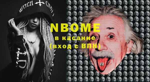 индика Баксан