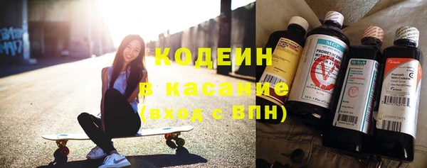 индика Баксан